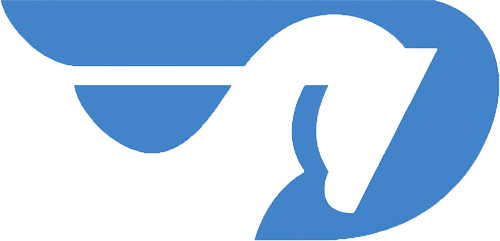 Dallas White Rock Marathons